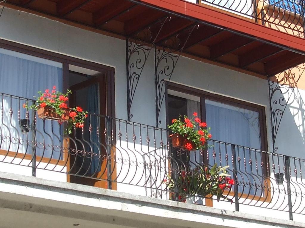 Vila Ana-Maria Sinaia Exterior photo